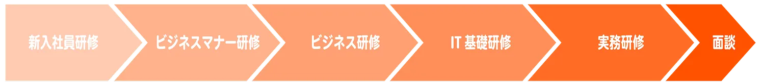 研修の流れ：新入社員研修、ビジネスマナー研修、IT基礎研修、実務研修、面談